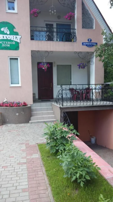 Зеленоградск: Guest House Trigona