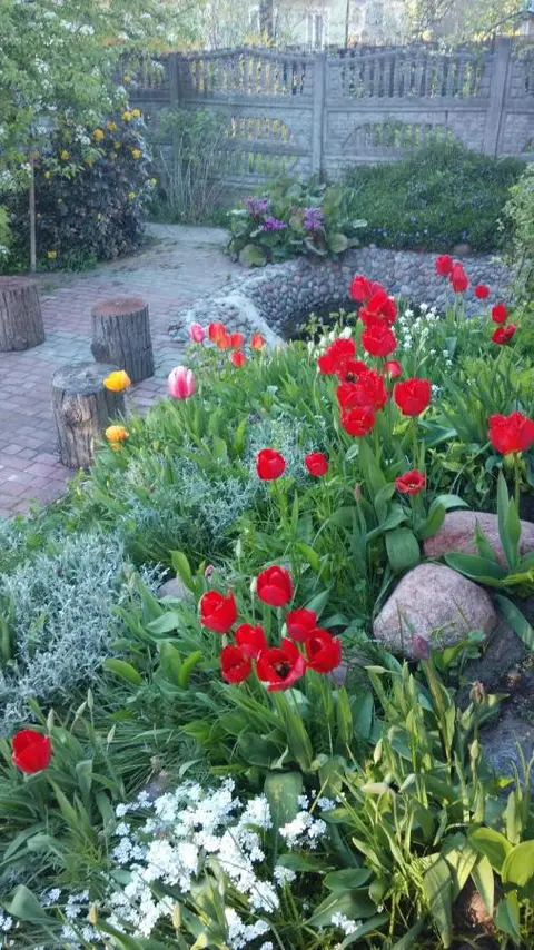 Зеленоградск: Guest House Trigona
