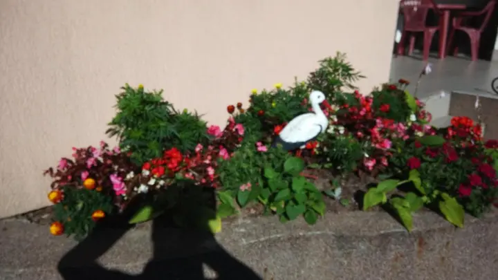 Зеленоградск: Guest House Trigona