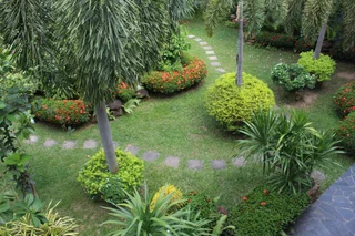 Сурин: Мини-Отель Whiteelephant Resort