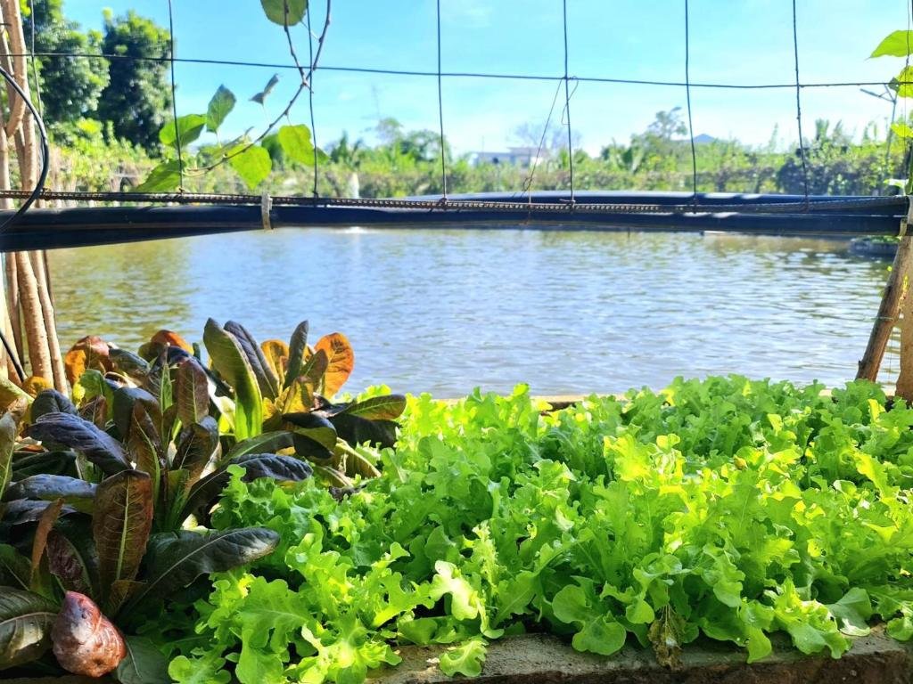 Кхлонг-Янг: Aisana Hotel Korat
