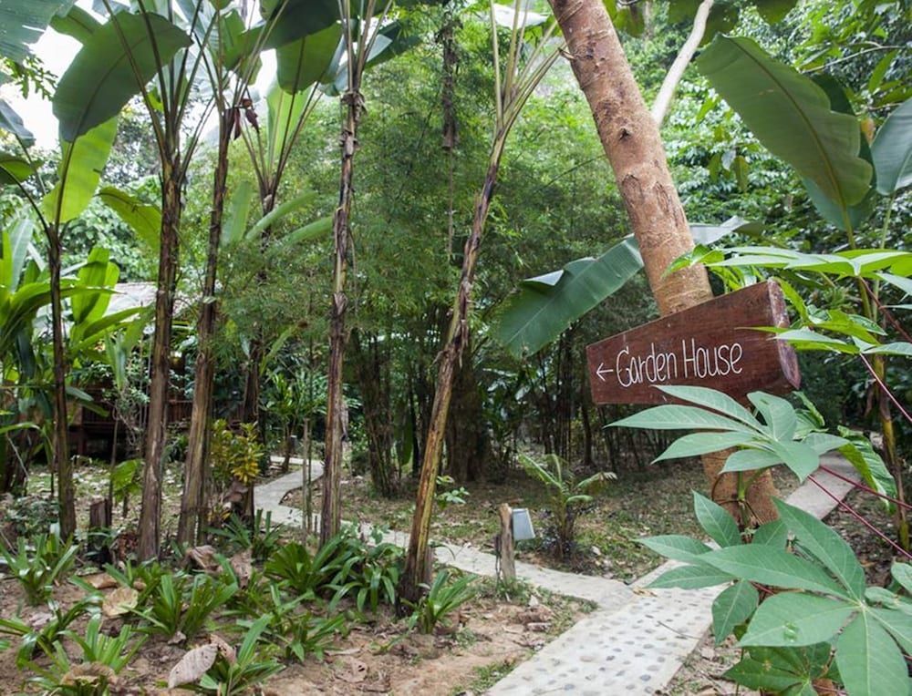 Фаном: Our Jungle House