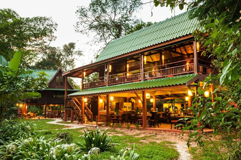 Фаном: Our Jungle House