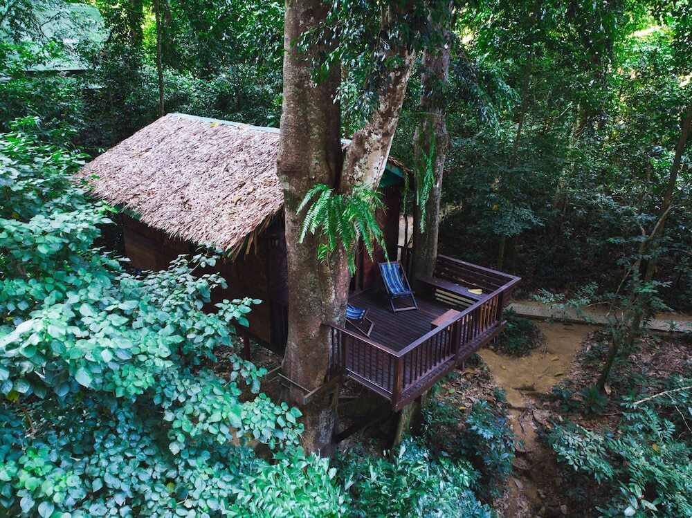 Фаном: Our Jungle House