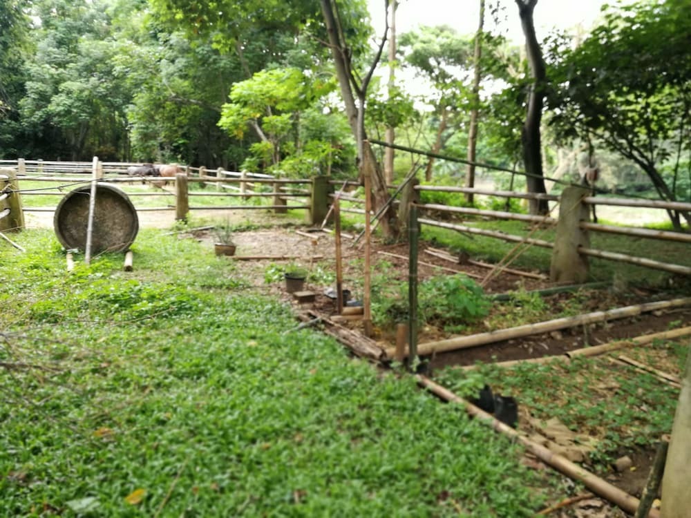 Чиангмай: Middle Path Retreat