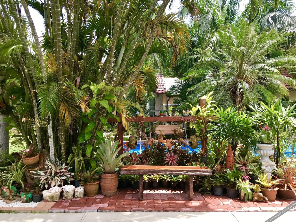 Муанг: Falang Paradise