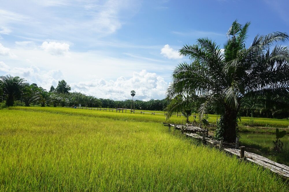 Чумпхон: Jae's Garden Home Resort