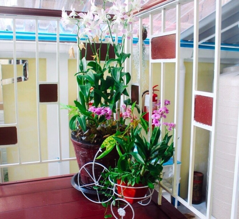 Бангкок: Star Hostel Tokslip