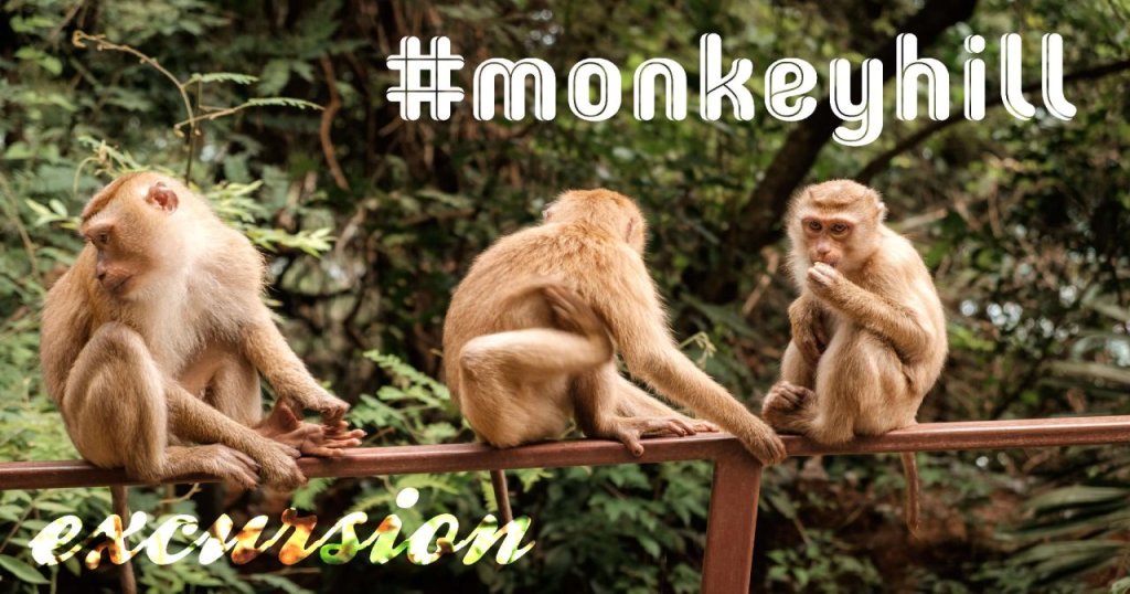 Муанг: Phoenix Hotel Karon Beach