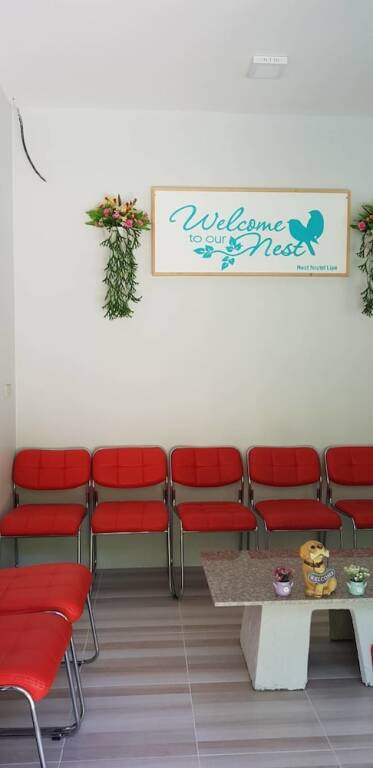 пляж Санрайз: Nest  Hostel Lipe