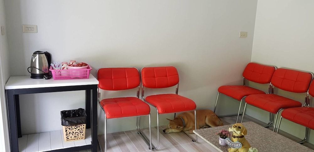 пляж Санрайз: Nest  Hostel Lipe