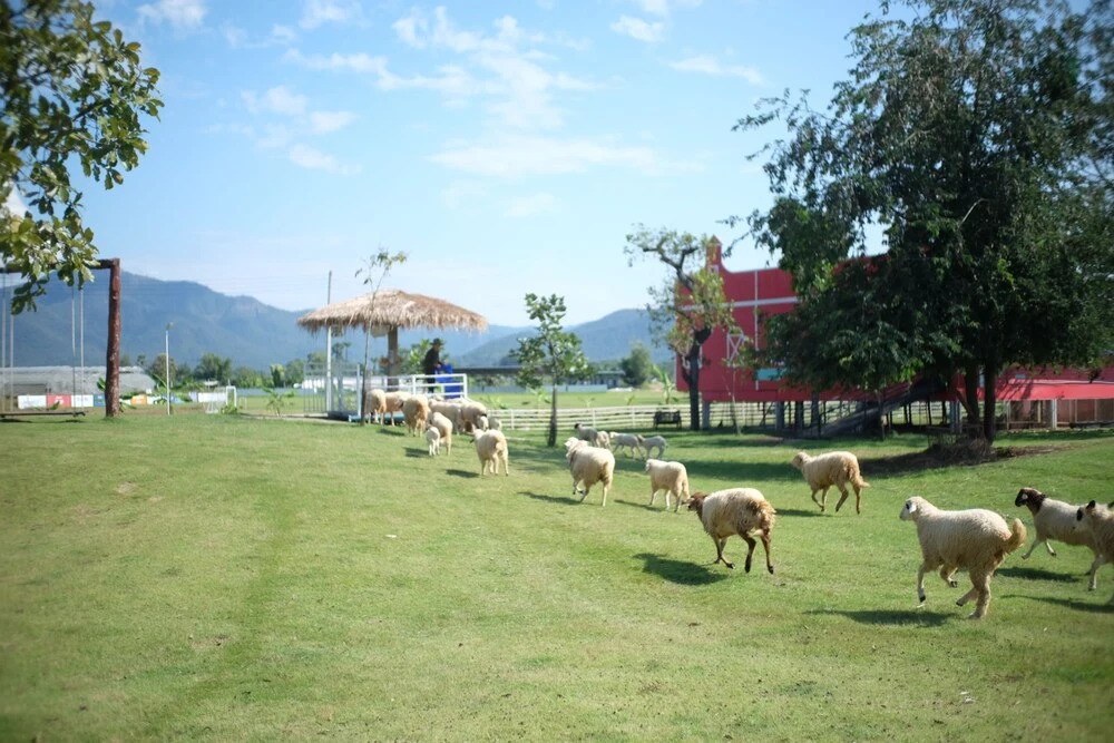 Сан-Кампаенг: Inursing Resort Oonvalley Chiangmai