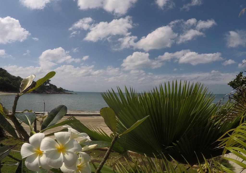 Ко-Пханган: Dolphin Bay Beach Resort