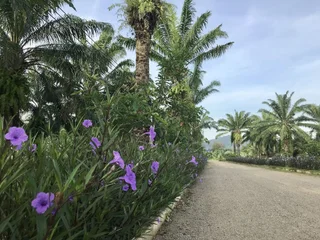 Краби: Golden Palm Resort
