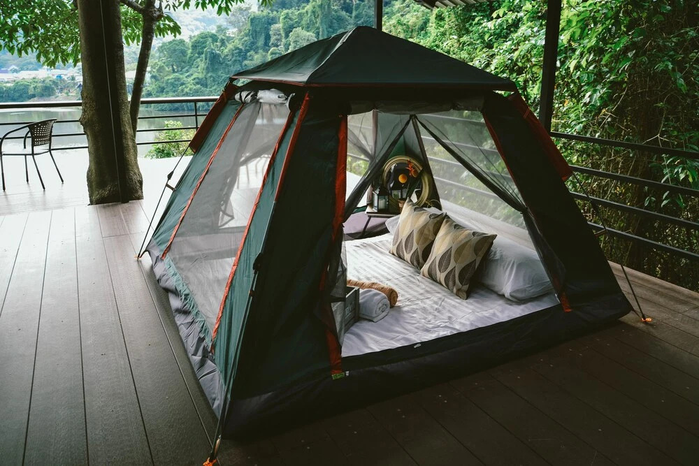 Кату: Elephant Jungle Sanctuary