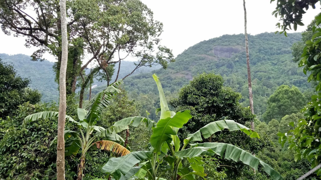Лансака: Baan Keree Thara Khiri Wong