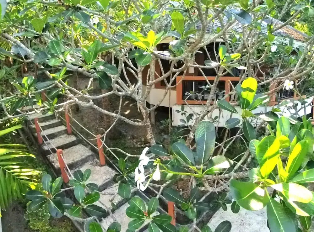 Ко-Пханган: The Hideaway Pariya Haad Yuan Ko Pha-ngan