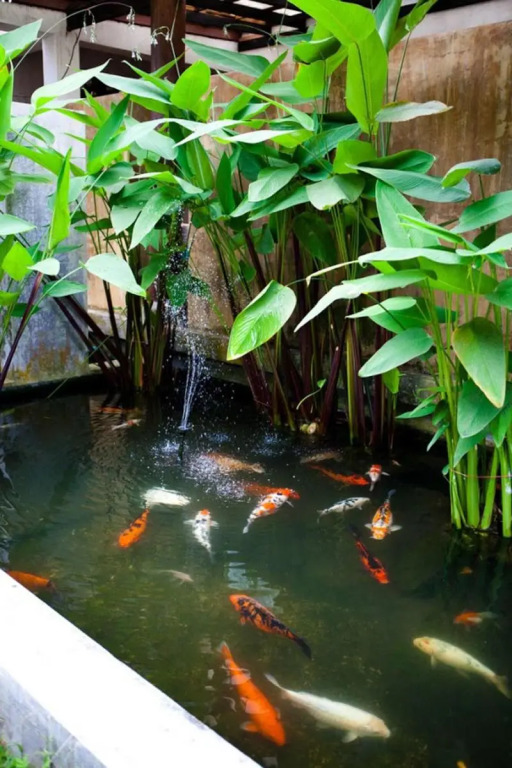 Као Лак: Ayara Villas Khaolak