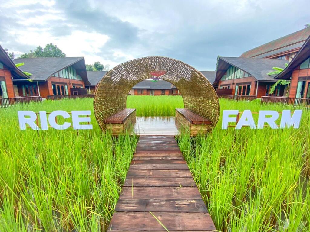 Сураттхани: Rice Farm Villa Suratthani