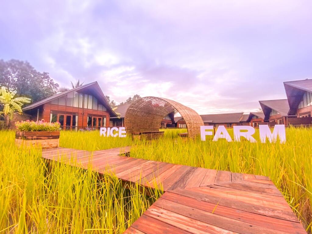 Сураттхани: Rice Farm Villa Suratthani
