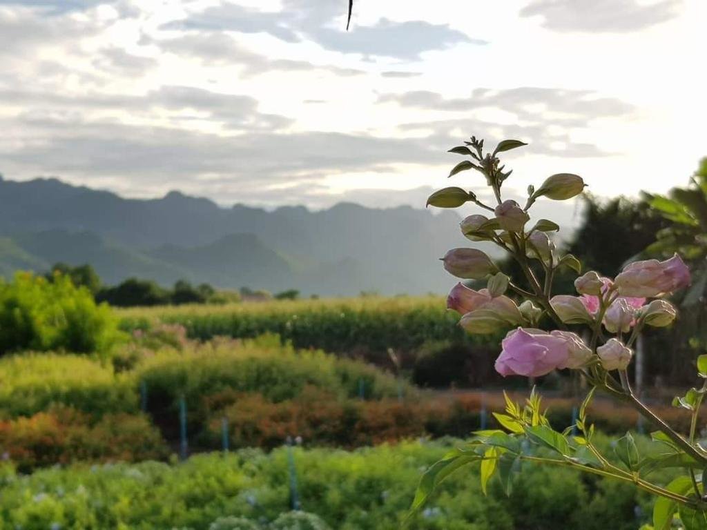 Сай Йок: Sai Yok Noi Blue Mountain Resort