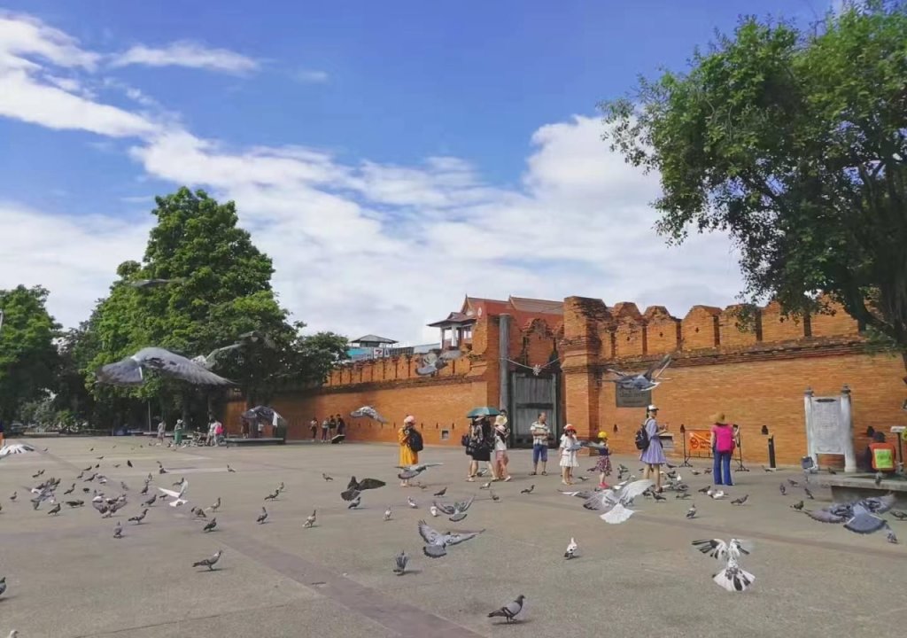 Чиангмай: The Commonroom CNX