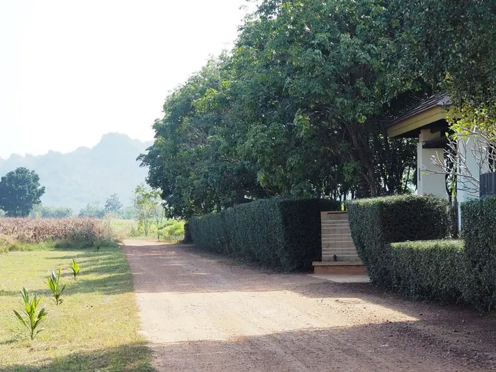 Сай Йок: Singha Rubber Tree Kanchanaburi