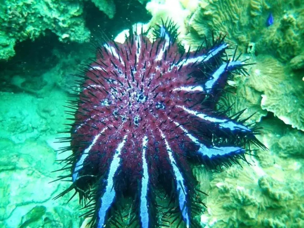 Ко-Липе: Charming Lipe Beach Resort