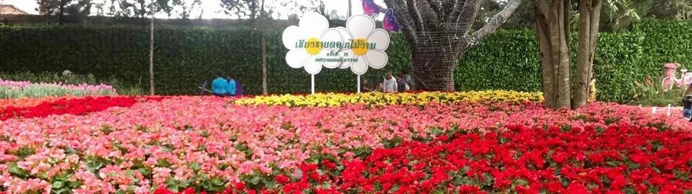 Чианграй: Bann Tawan Hostel & Spa