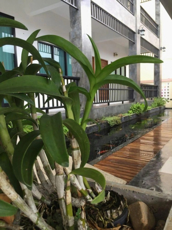 Мей-Сот: Phetcharat Grand Hotel Maesot