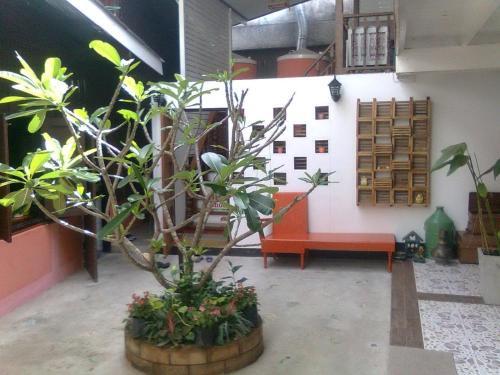 Мей-Сот: Auntie's Coffee Guesthouse