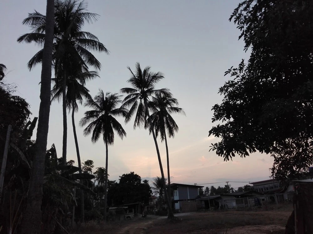 Ланта: Lanta Mother Hostel