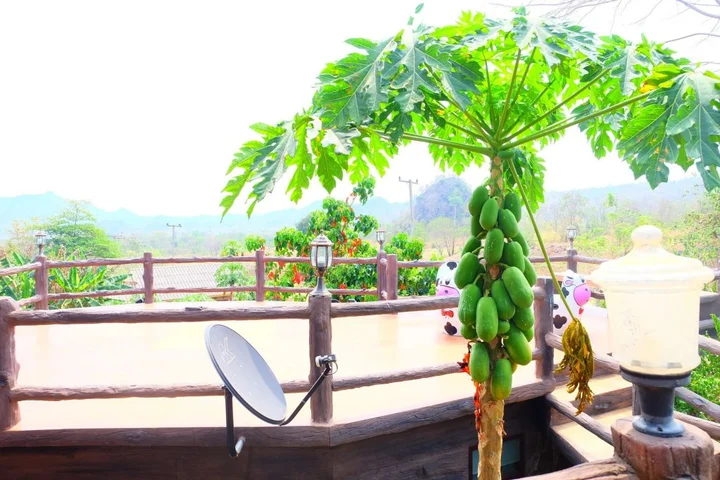 Сай Йок: Fahsuai Namsai Baimai Resort