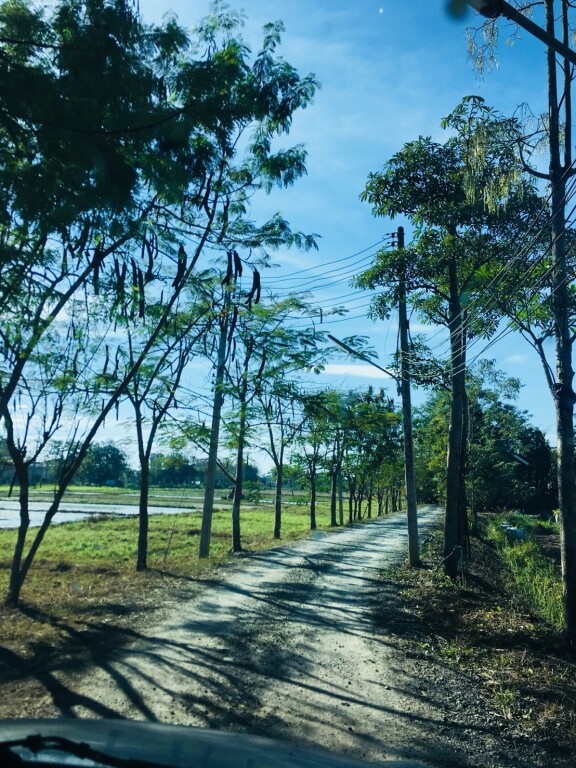 Сан-Кампаенг: Phu Mi Lum Nao House