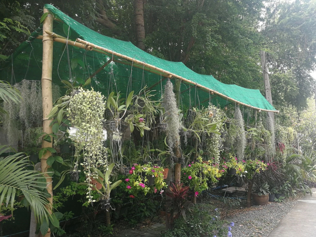 Лопбури: Baansuan Keb Tawan Resort