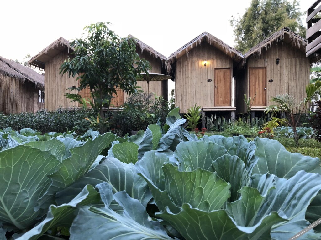Сан-Кампаенг: Lanna House Lanna Hut Chiangmai