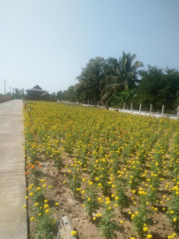Сан-Кампаенг: Huanmaisakngam Resort