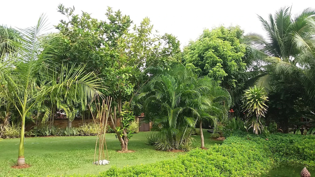 Сам-Рои-Йот: Malee Garden