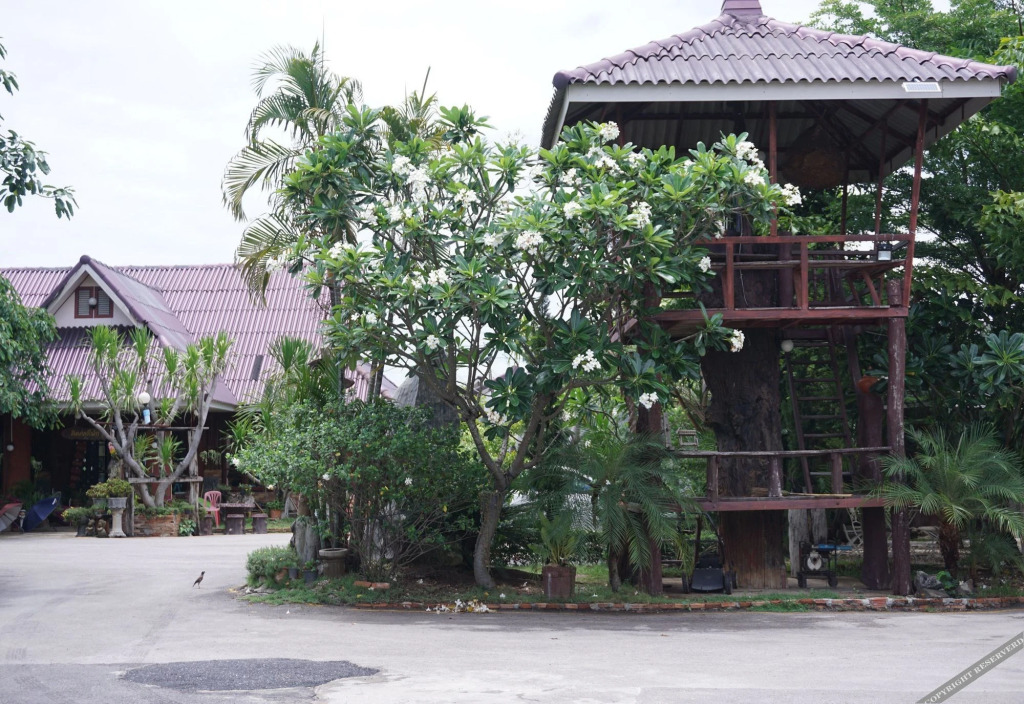 Лампанг: Panichat Resort