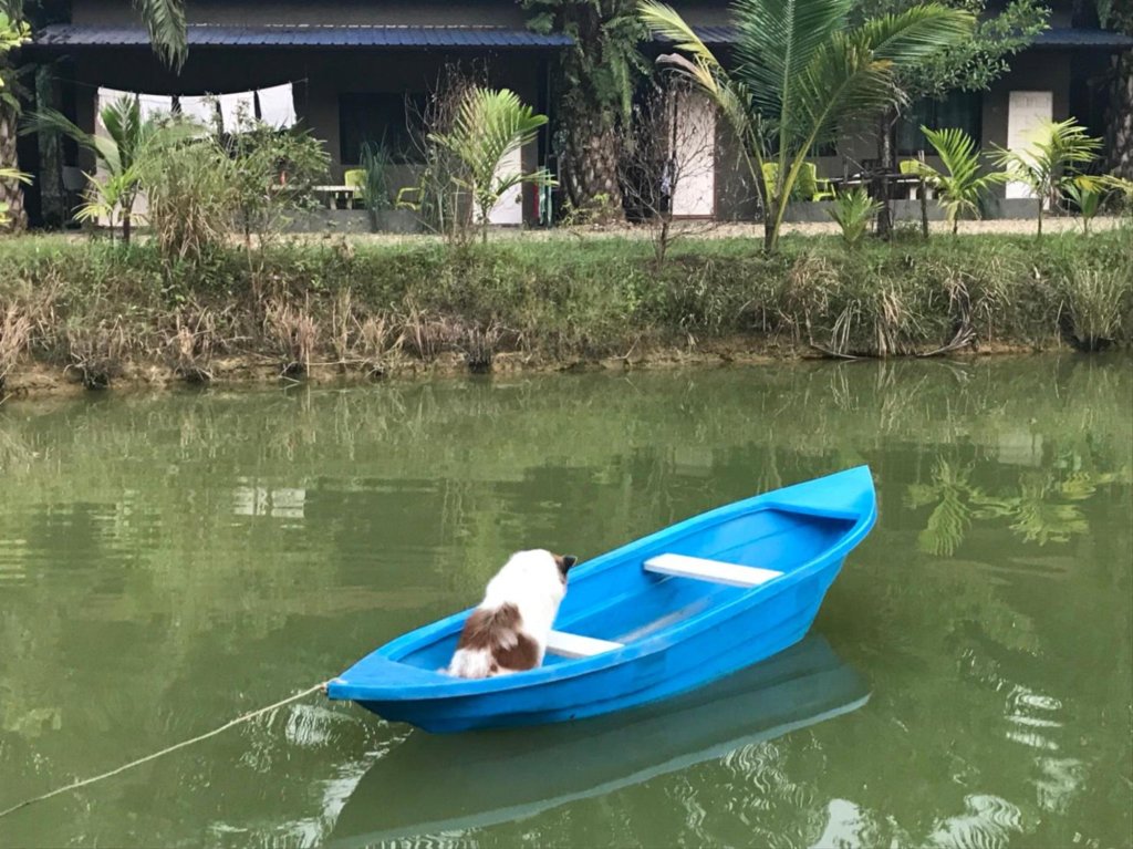 Такуа Па: Phang Nga Farmstay