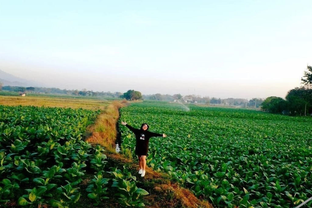 Кхэм Сон: Le Kuna Farm Stay