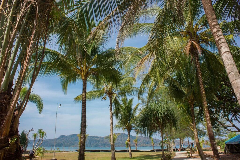 Ла-Нгу: SeeSea Resort