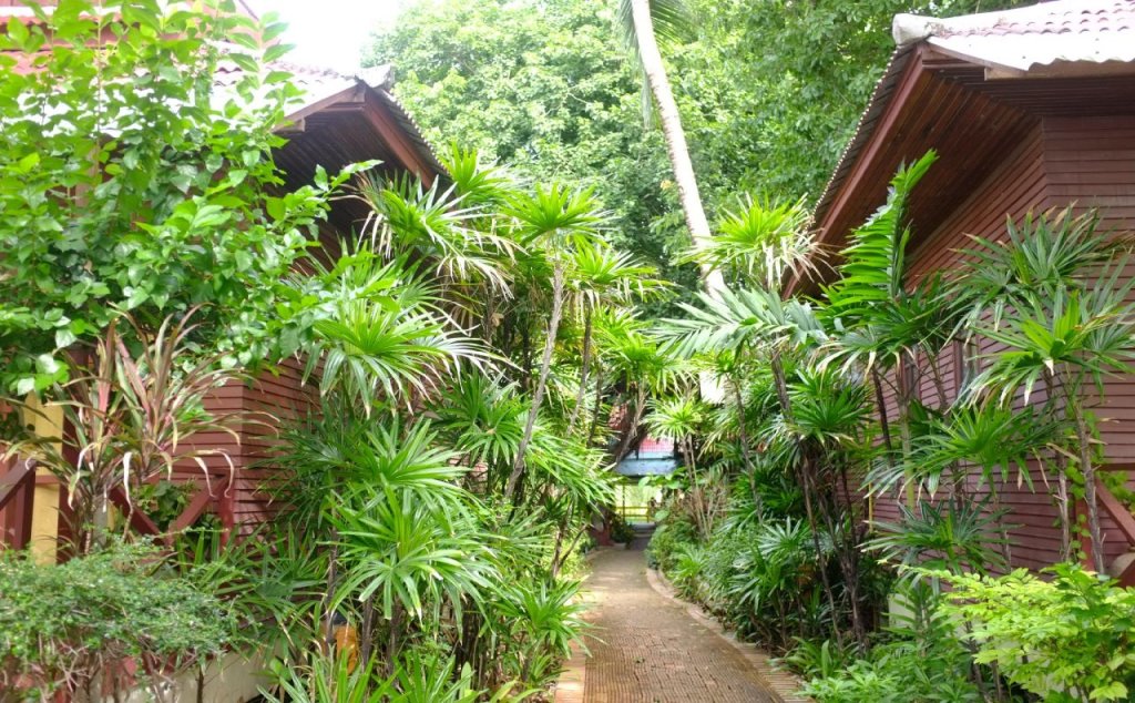 Самуи: Chaweng Bliss Bungalow