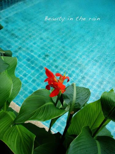 Хатъяй: The Weenee Boutique Resort Hatyai