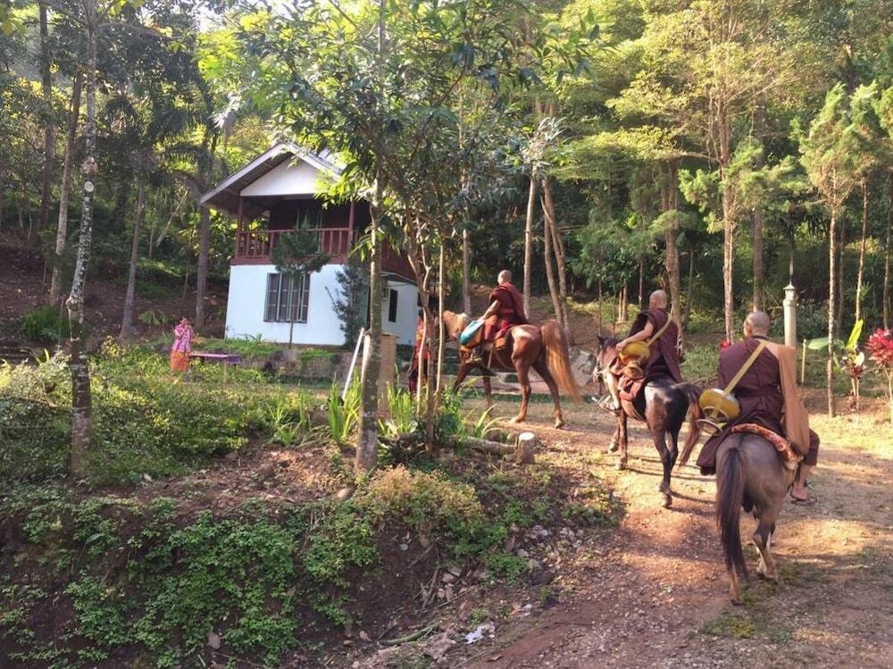 Mae Chan: Farmstay at Pha Ma Chiangrai