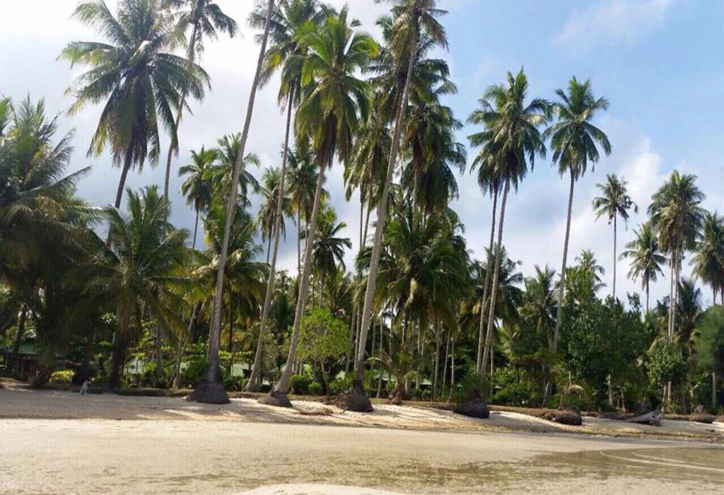 Ко Куд: Dusita Resort Kohkood