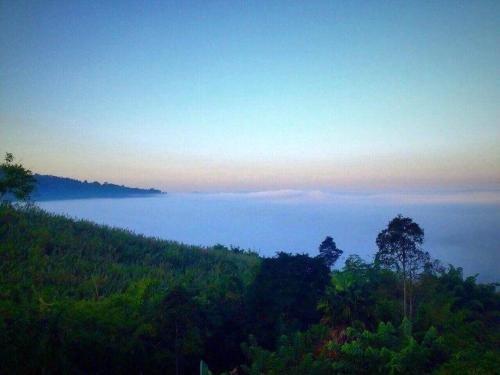 Кхао-Кхо: Tanomrak Resort