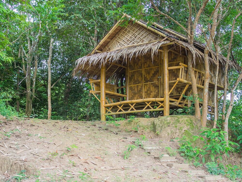 Сураттхани: Wichai's Jungle Home Stay