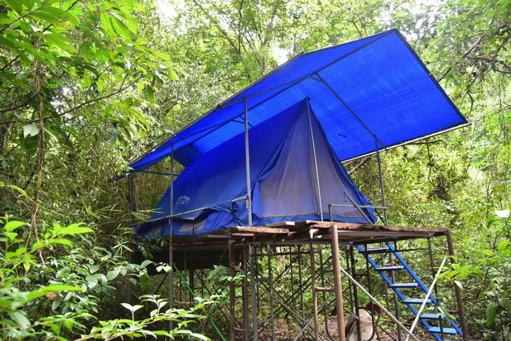 Сураттхани: Wichai's Jungle Home Stay