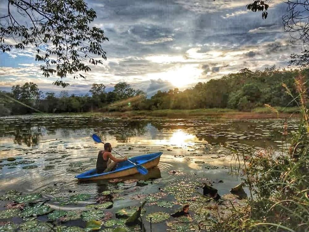 Сураттхани: Wichai's Jungle Home Stay
